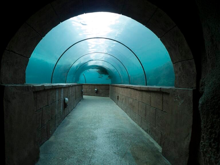 Atlantis Aquaventure Water Park — photo 5