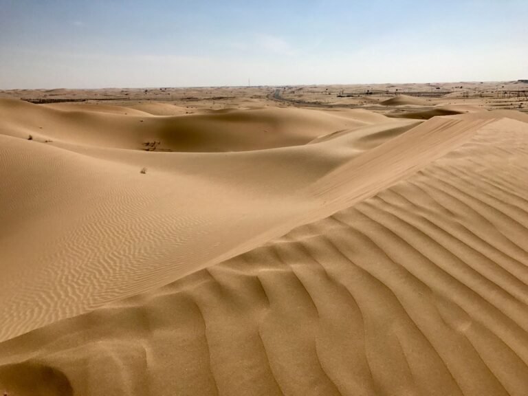 Desert Safari Abu Dhabi — photo 2