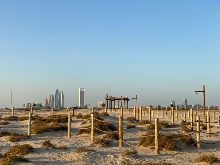 Desert Safari Abu Dhabi — photo 3