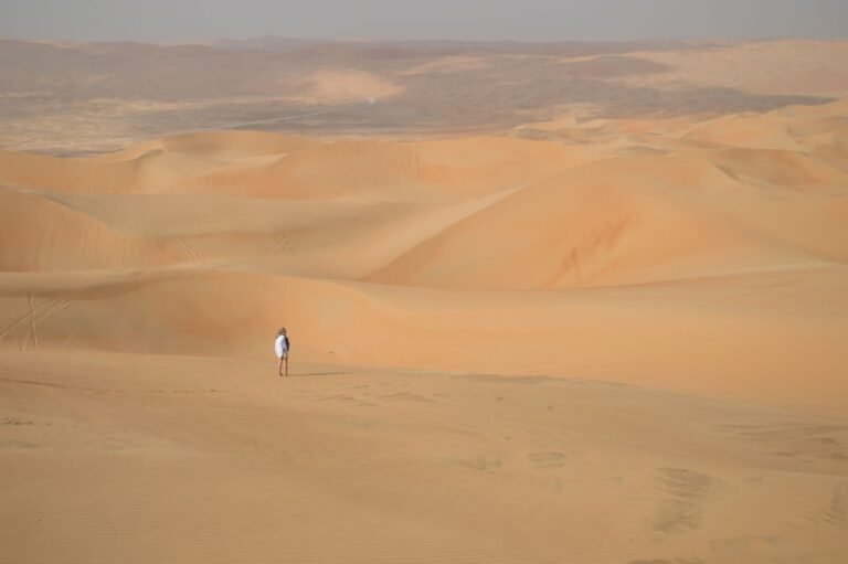 Desert Safari Abu Dhabi