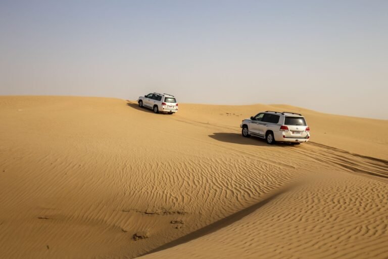 Desert Safari Abu Dhabi — photo 2