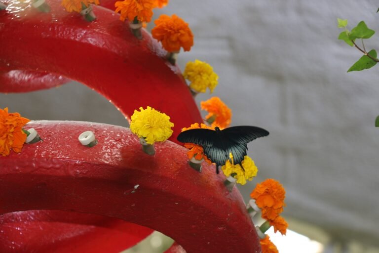 Dubai Butterfly Garden — photo 4