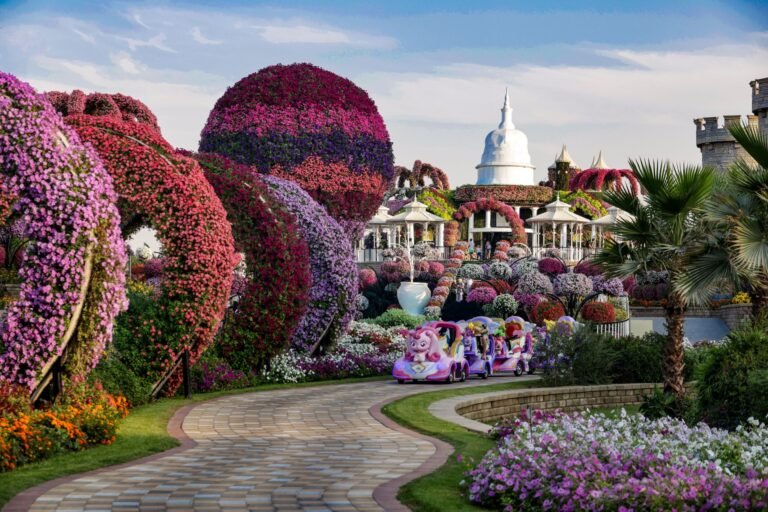 Dubai Miracle Garden — photo 3