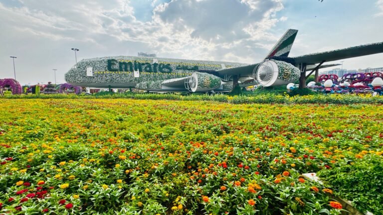 Dubai Miracle Garden — photo 4