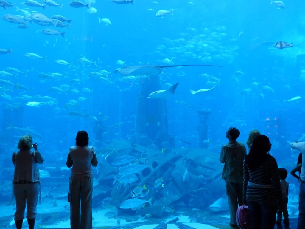 Lost World Aquarium at Aquaventure World
