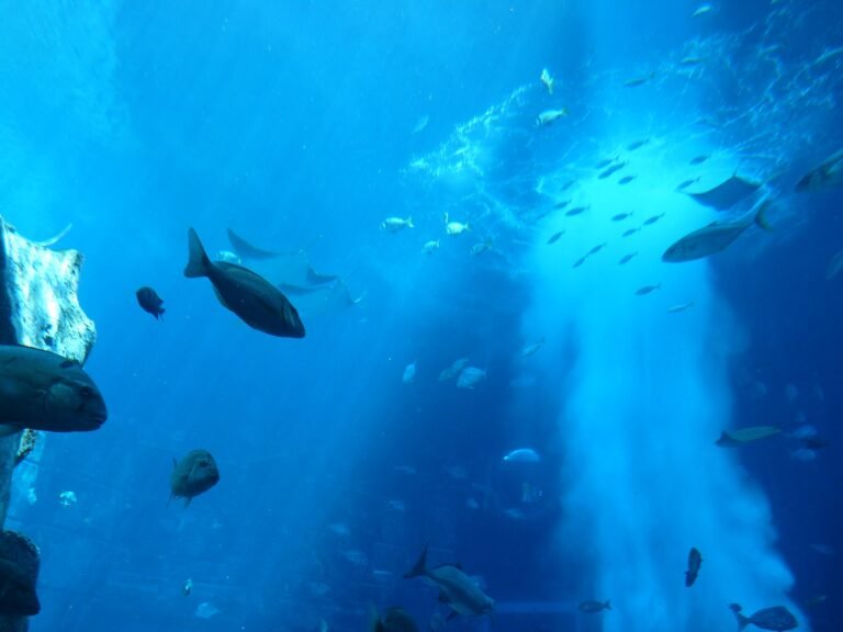 Lost World Aquarium at Aquaventure World — photo 3