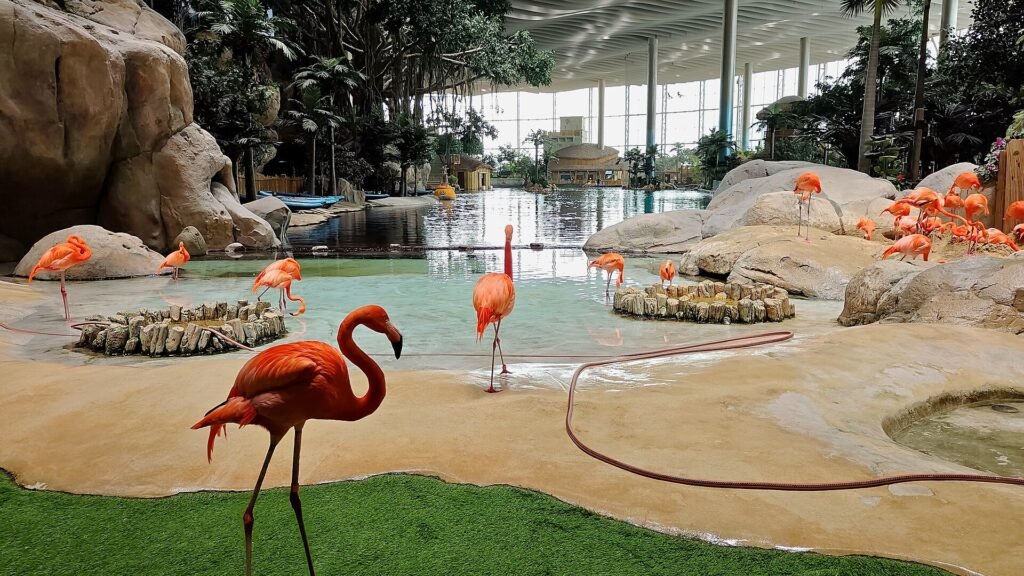 SeaWorld Yas Island