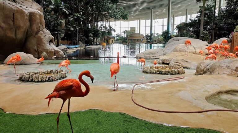 SeaWorld Yas Island
