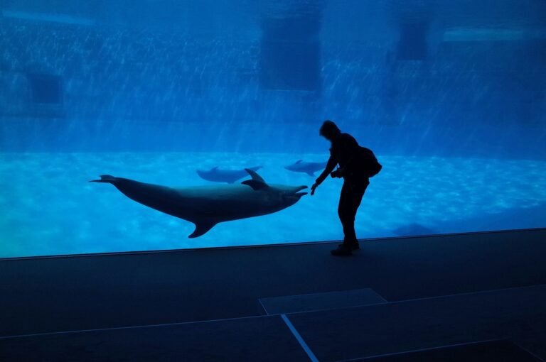 SeaWorld Yas Island