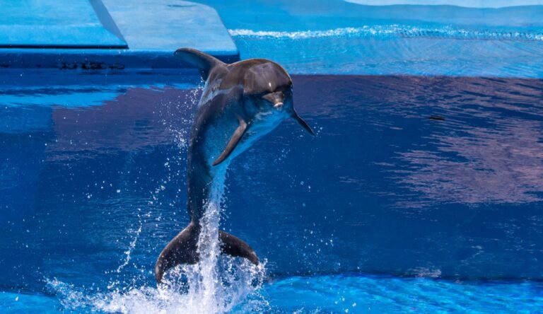 SeaWorld Yas Island — photo 2