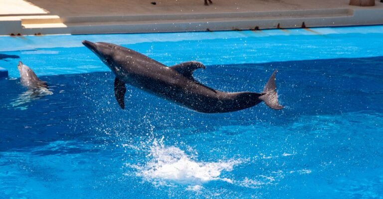 SeaWorld Yas Island — photo 3