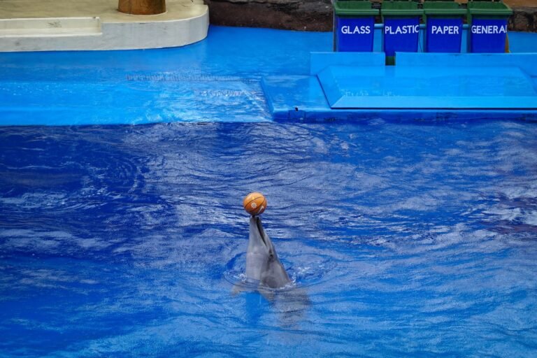SeaWorld Yas Island — photo 4