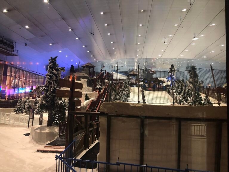 Ski Dubai Snow Park — photo 2
