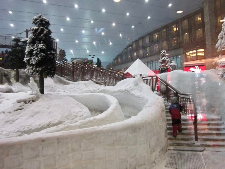Ski Dubai Snow Park — photo 3