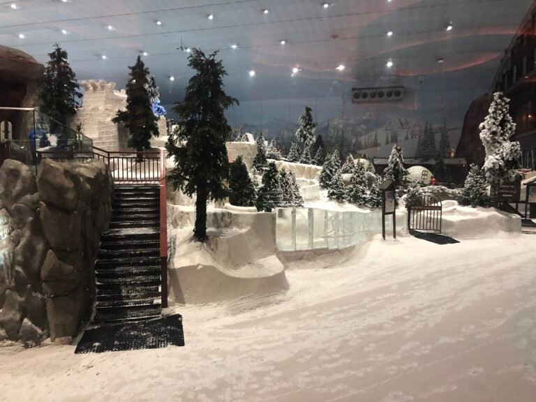 Ski Dubai Snow Park — photo 4
