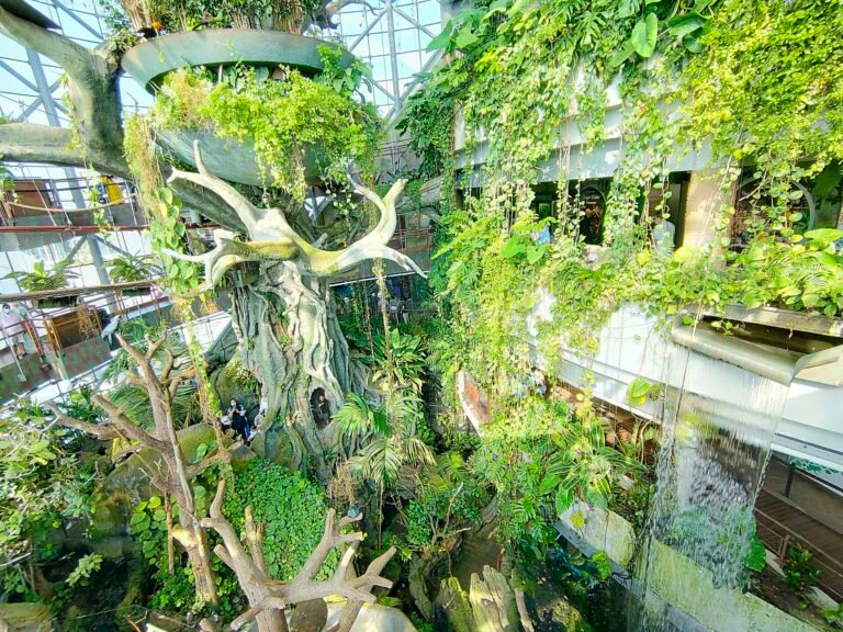 The Green Planet Dubai — photo 3