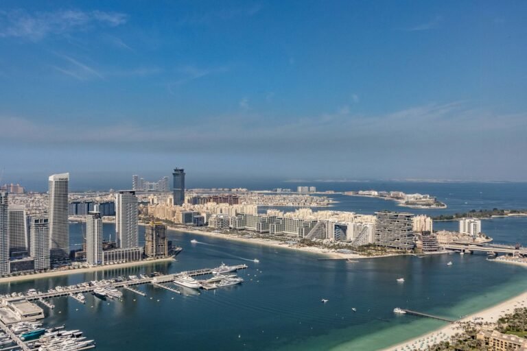 The View at The Palm — photo 4