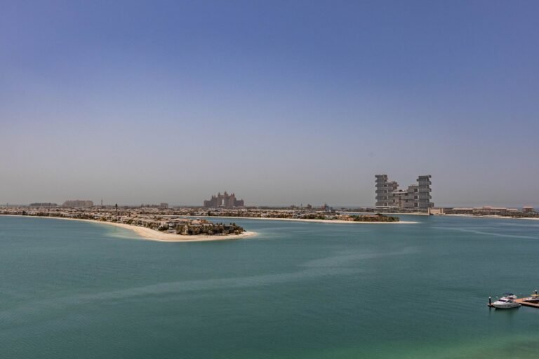 The View at The Palm