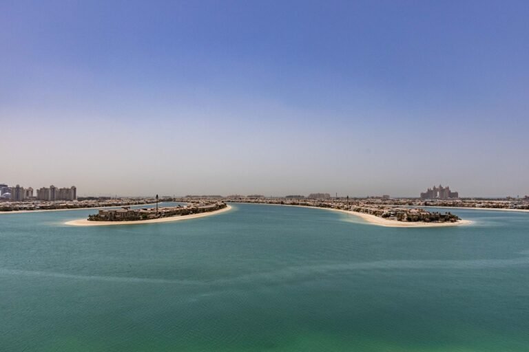 The View at The Palm — photo 5
