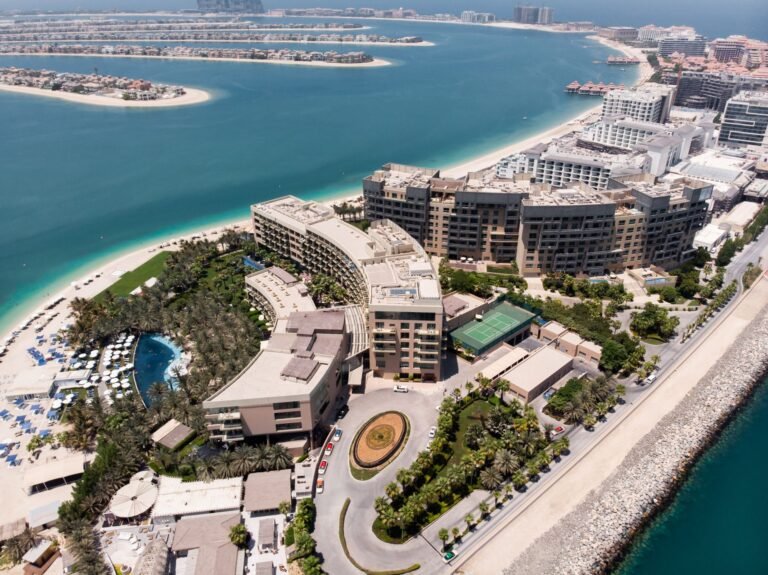 The View at The Palm — photo 3