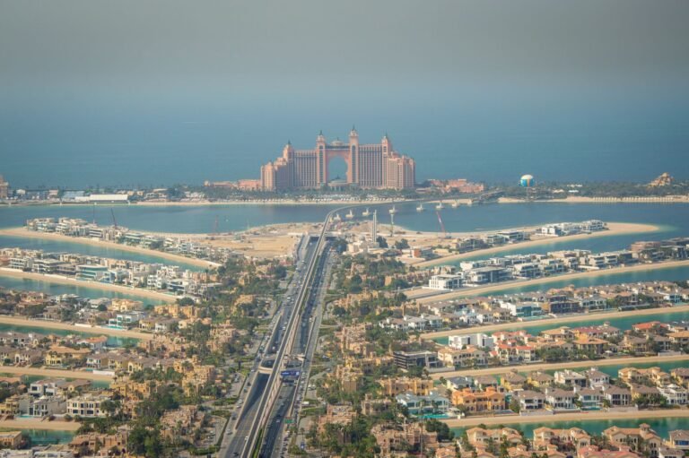The View at The Palm — photo 2