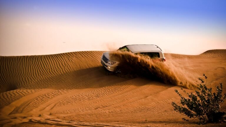 VIP Desert Safari — photo 5