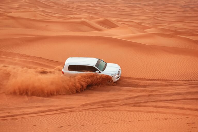VIP Desert Safari — photo 3
