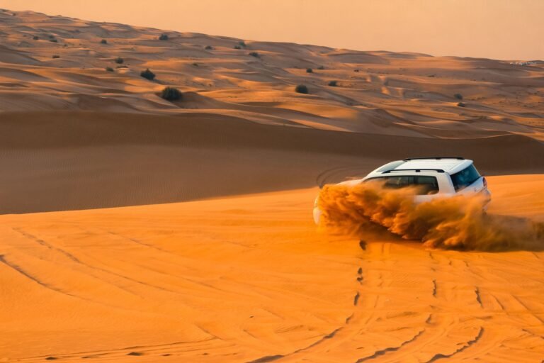 VIP Desert Safari — photo 2