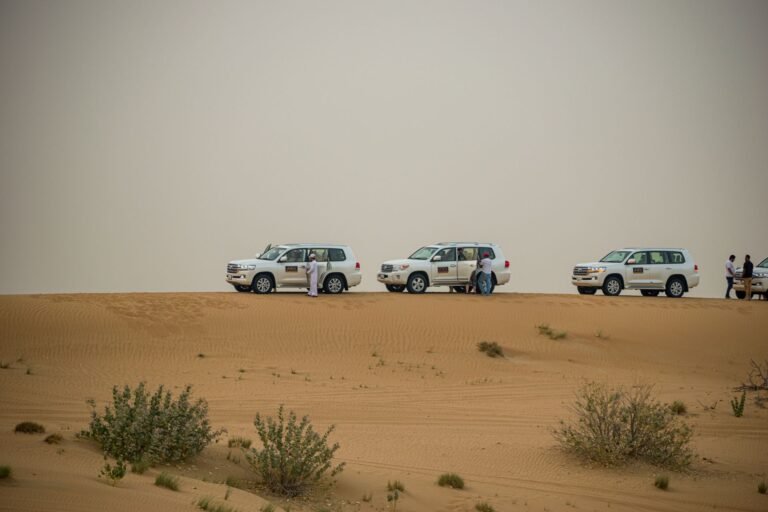 VIP Desert Safari